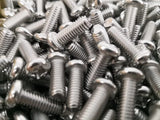 Car Number Plate Bolts/Screws 600pcs